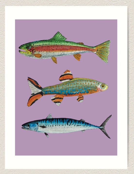 Fish - Purple Background.png