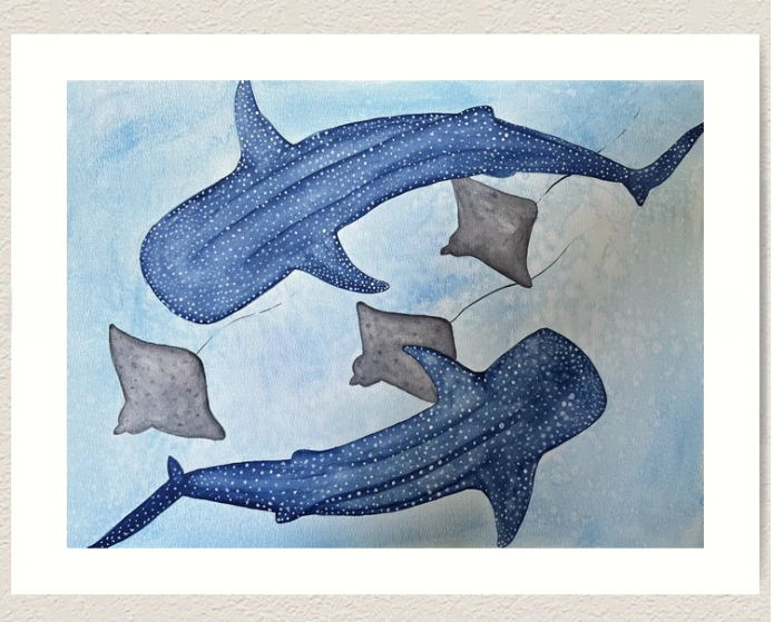 Whale Sharks & Rays Art Print