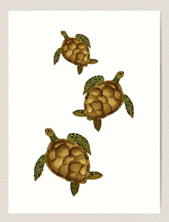 Turtles Art Print