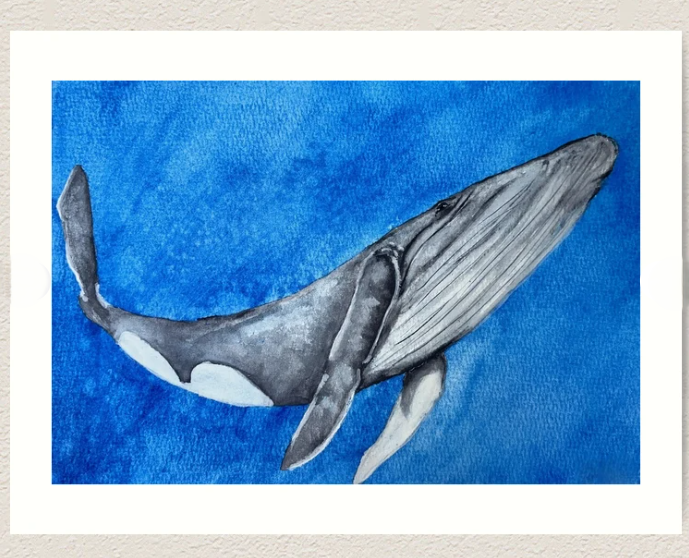 Whale.png