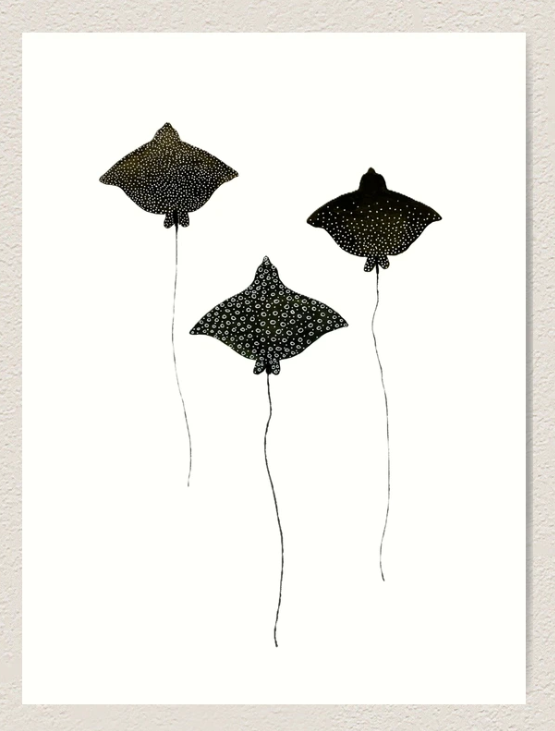 Spotted Eagle Rays Art Print
