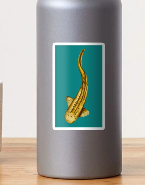 Leopard Shark - Teal.png