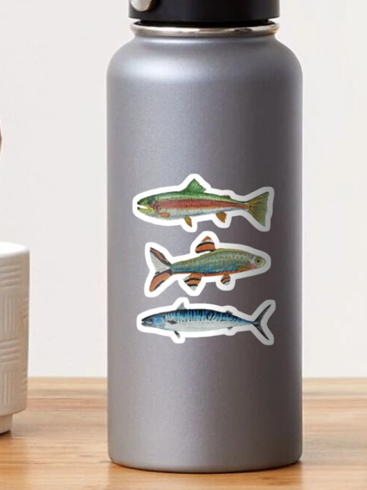 Fish Sticker