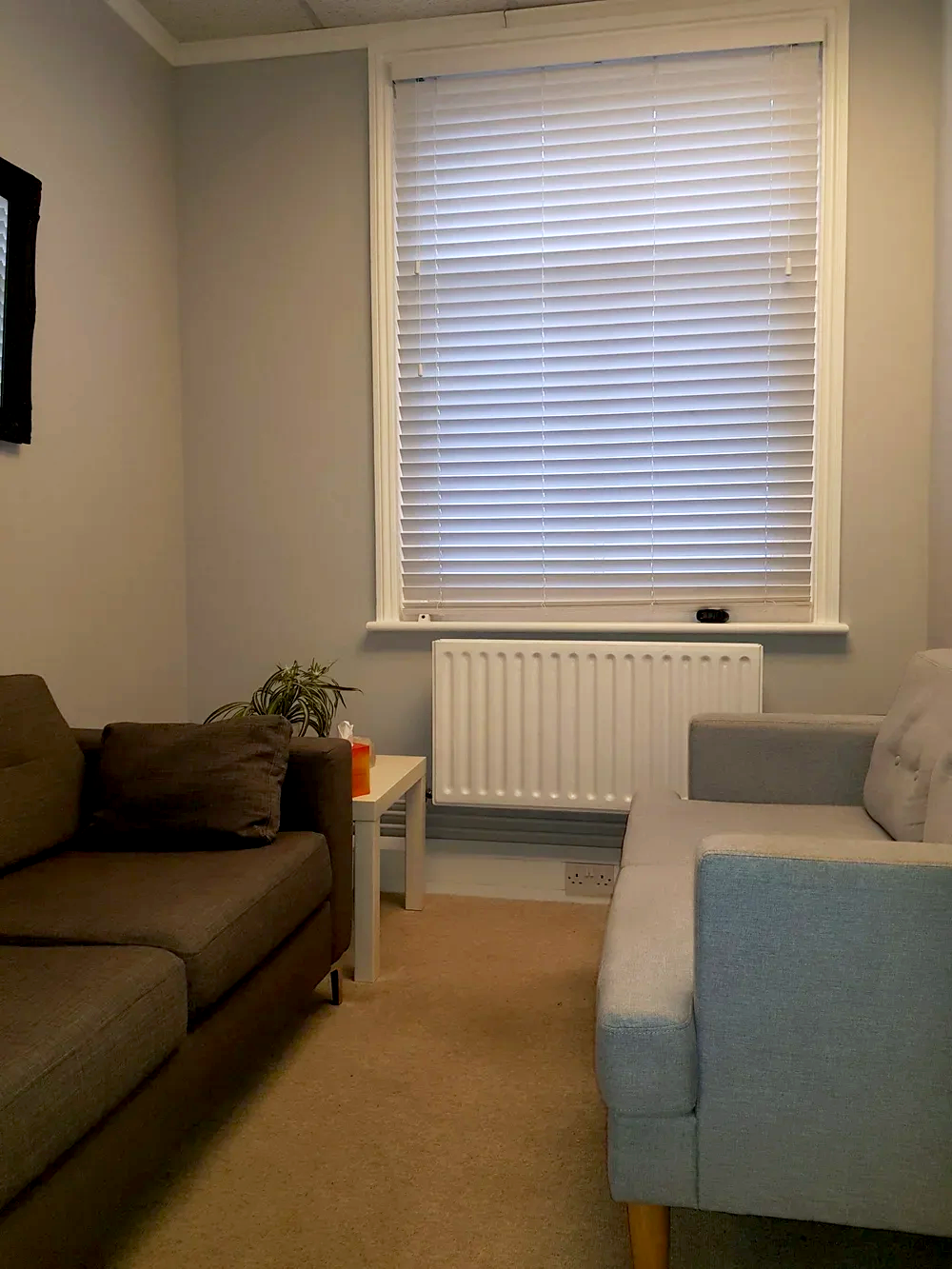 Living room with a brown sofa, a white side table with a plant and tissue box, a grey sofa, a window with blinds, a radiator, and a beige carpet.