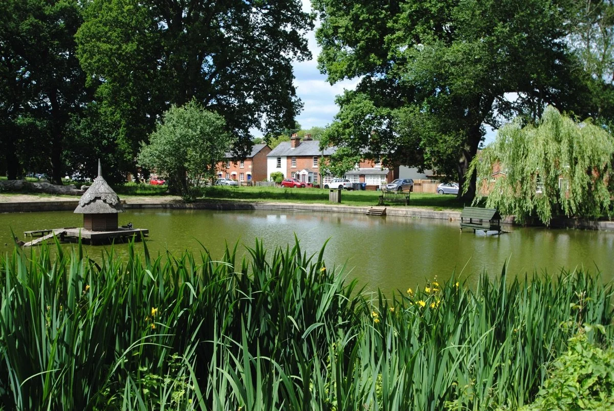 A small pond surrounded by greenery and trees, with a row of houses and parked cars in the background. There are benches on the pond's edge and a small wooden structure on the water.