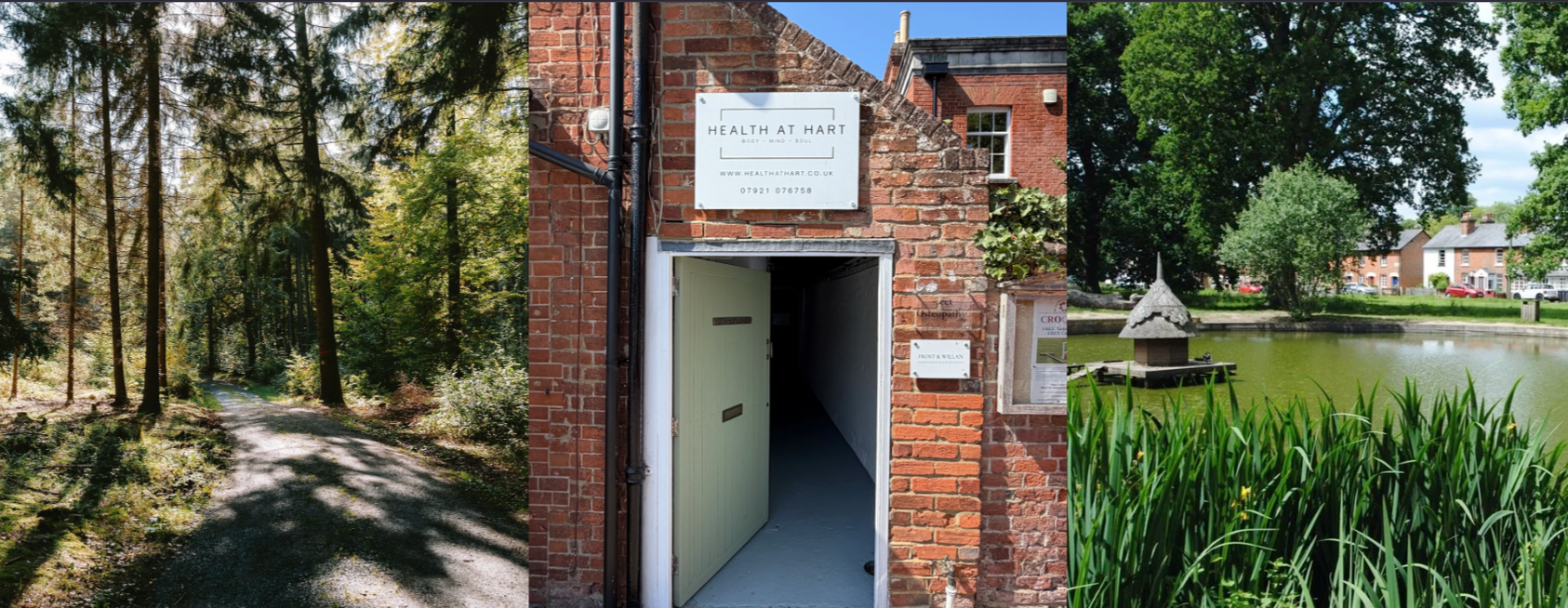 A collage of three images: the first shows a wooded trail with tall trees and sunlight, the second depicts the entrance to a building labeled 'Health at Hart' with a brick exterior, and the third features a pond with a small pagoda-style structure surrounded by greenery and trees.
