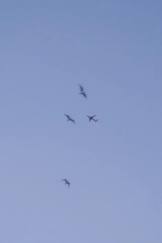 DSCF0792.jpg