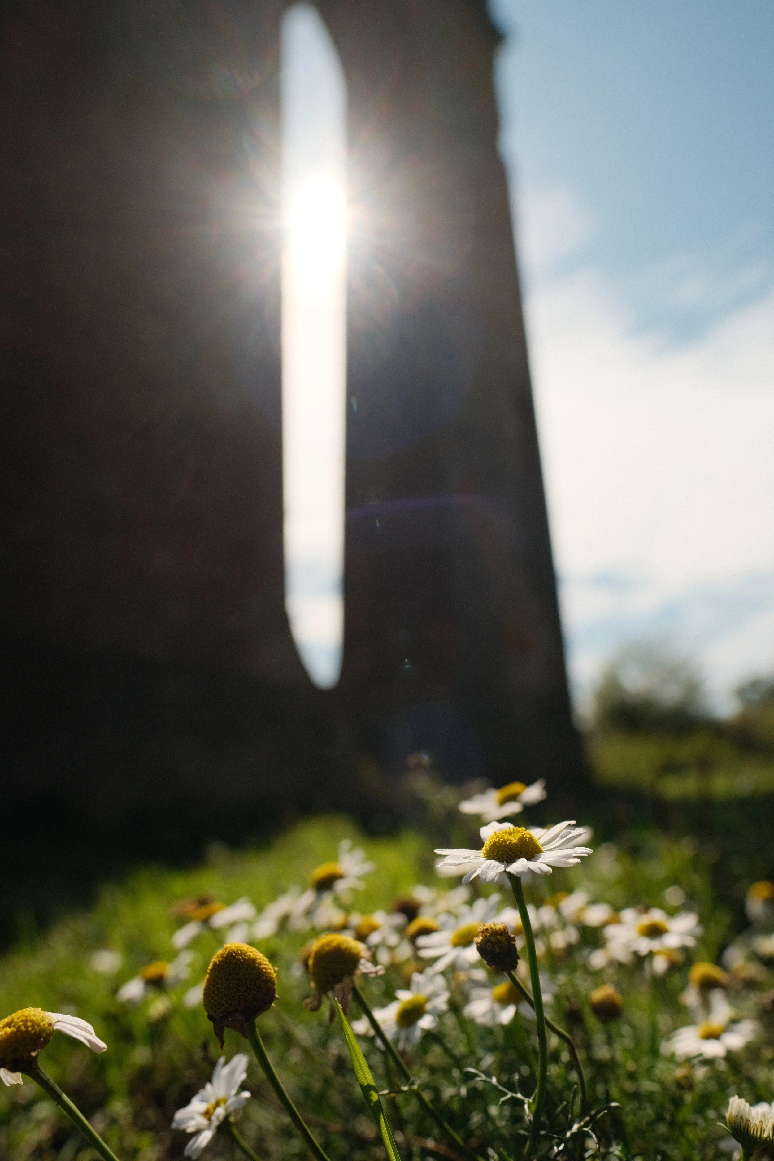 DSCF3833.JPG