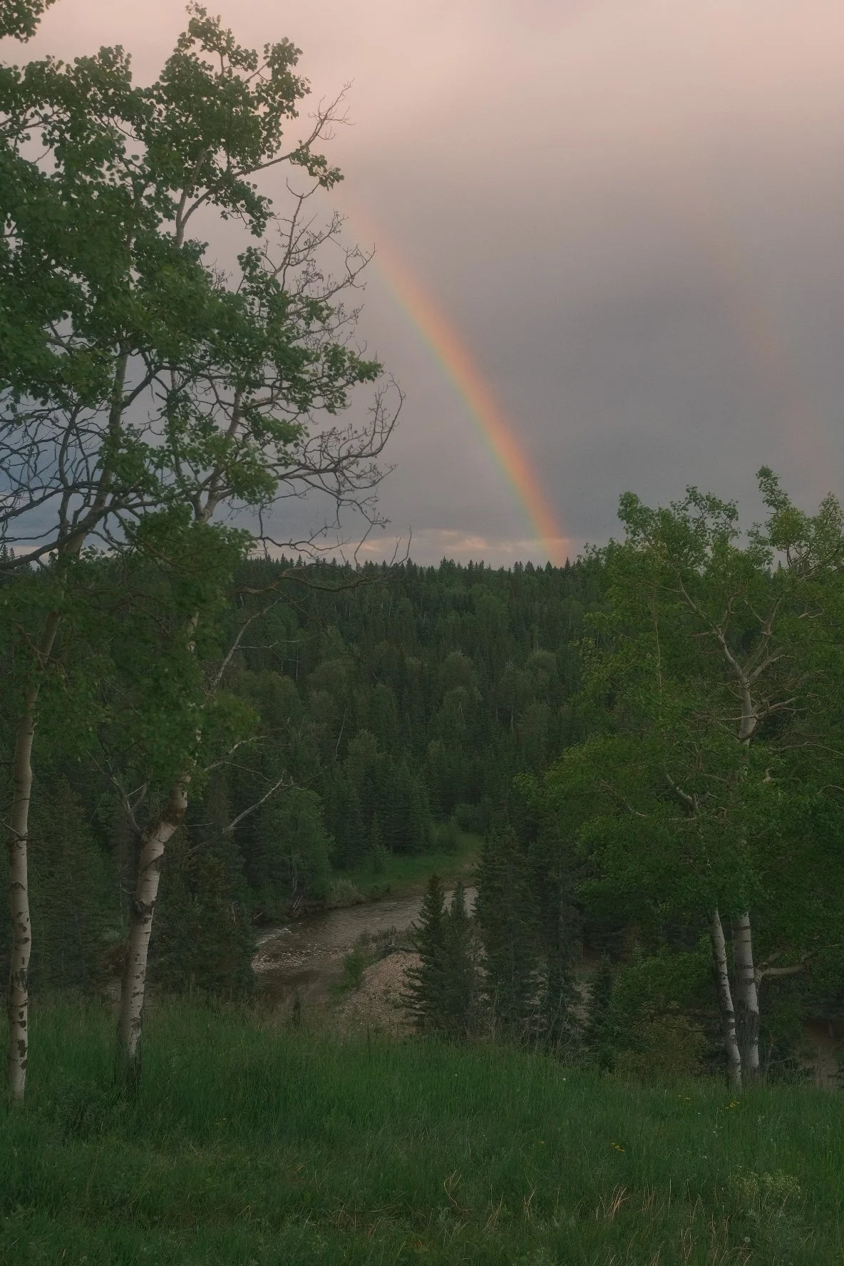 Nature