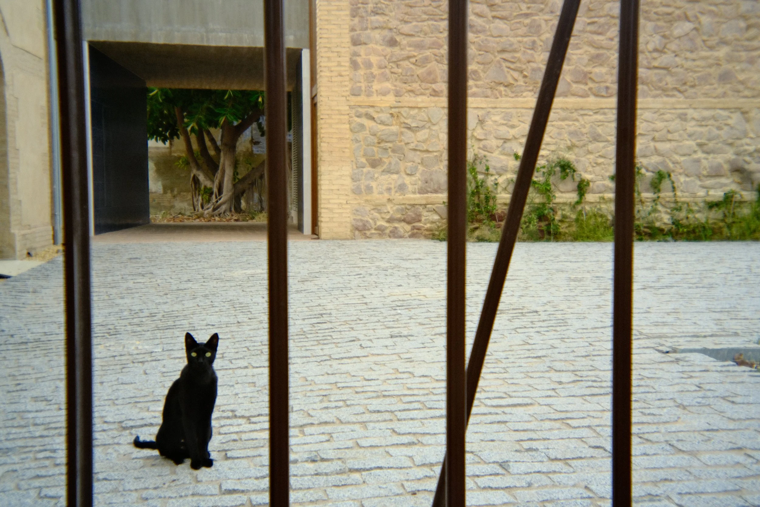 DSCF8627.JPG