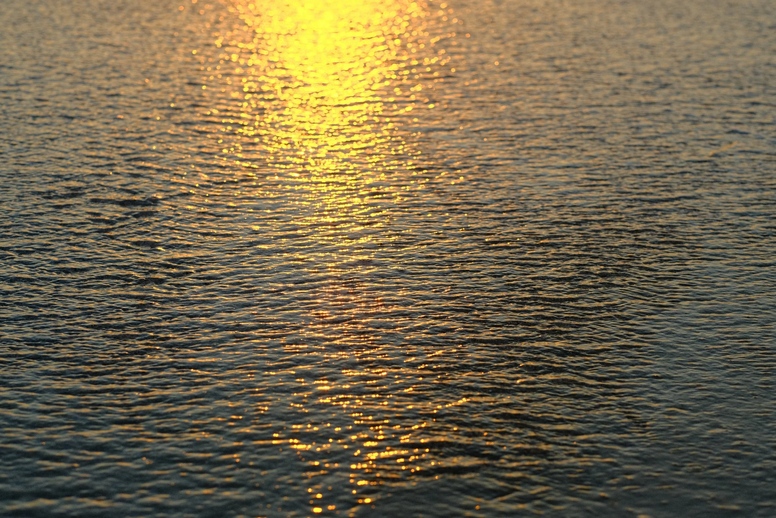 DSCF3454.JPG