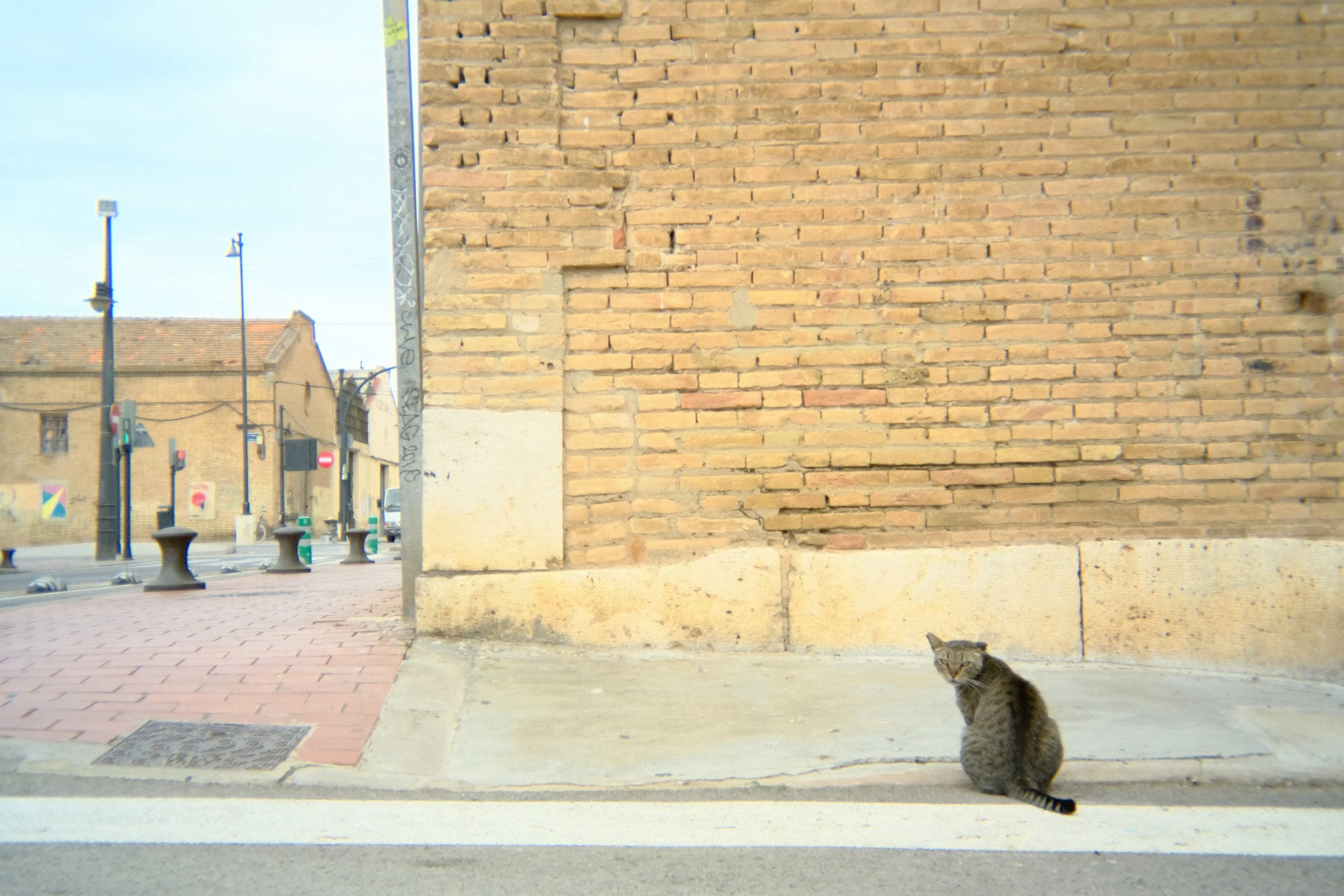 DSCF8630.JPG