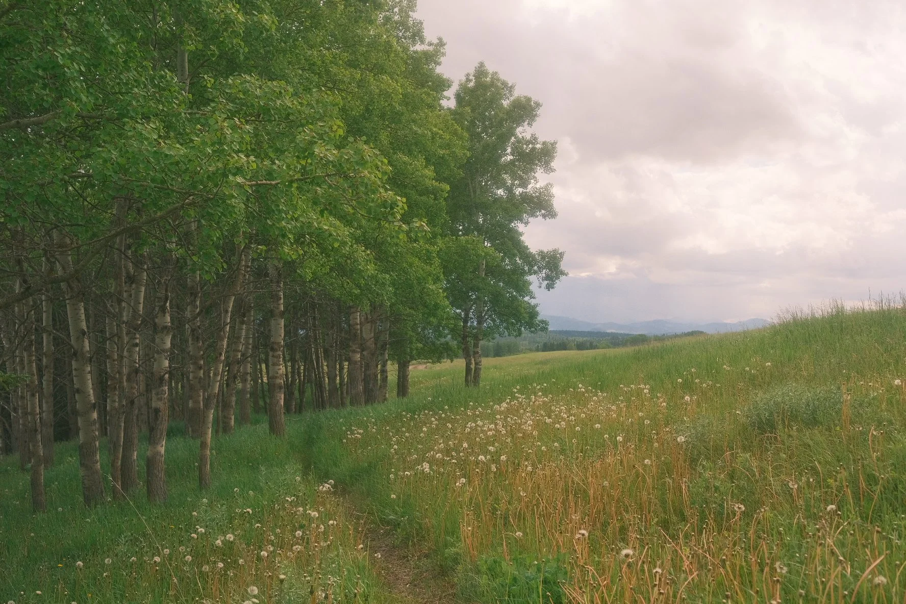 DSCF9744.JPG