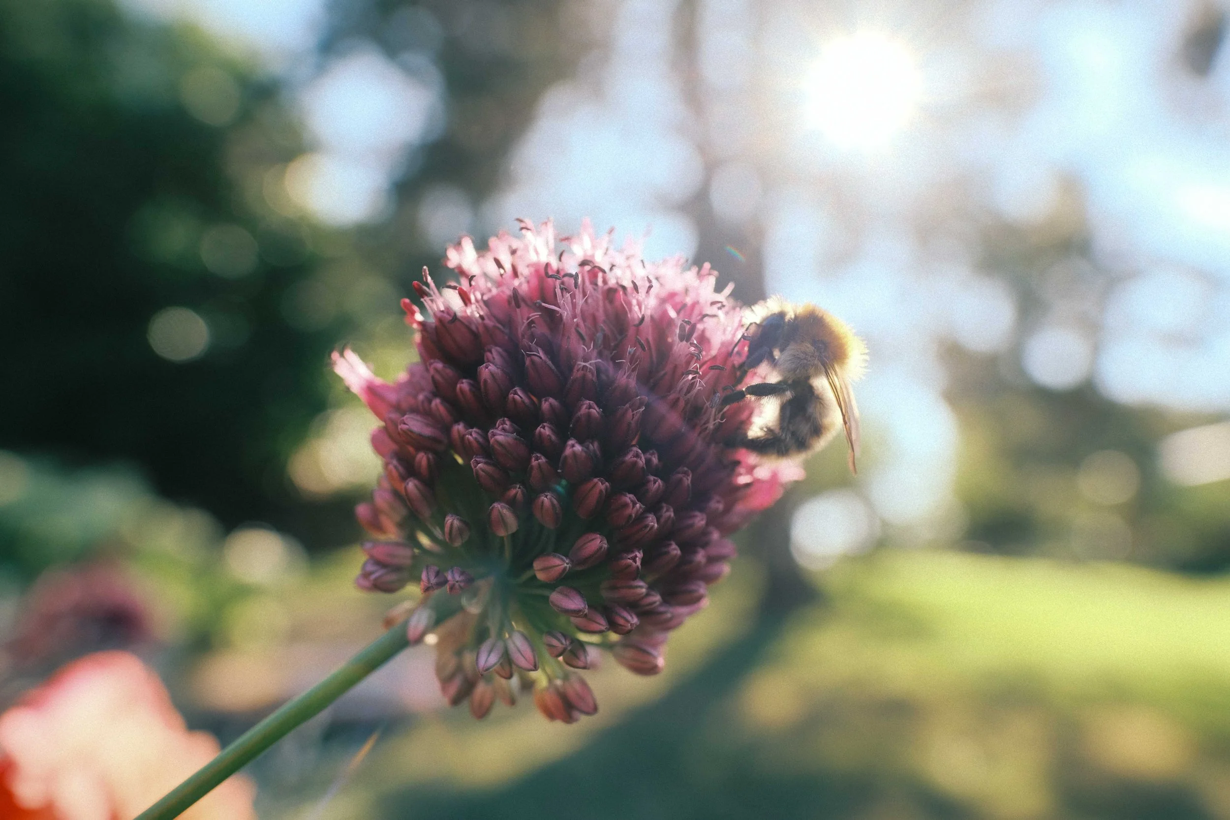 DSCF2779.jpg