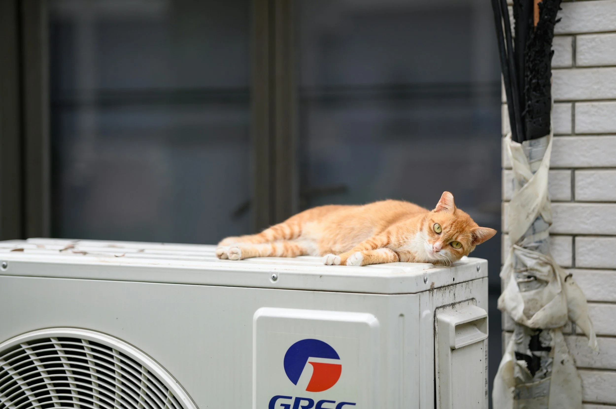 An orange tabby cat lying on top of an air conditioning unit outdoors, with a black object hanging on the wall next to it.