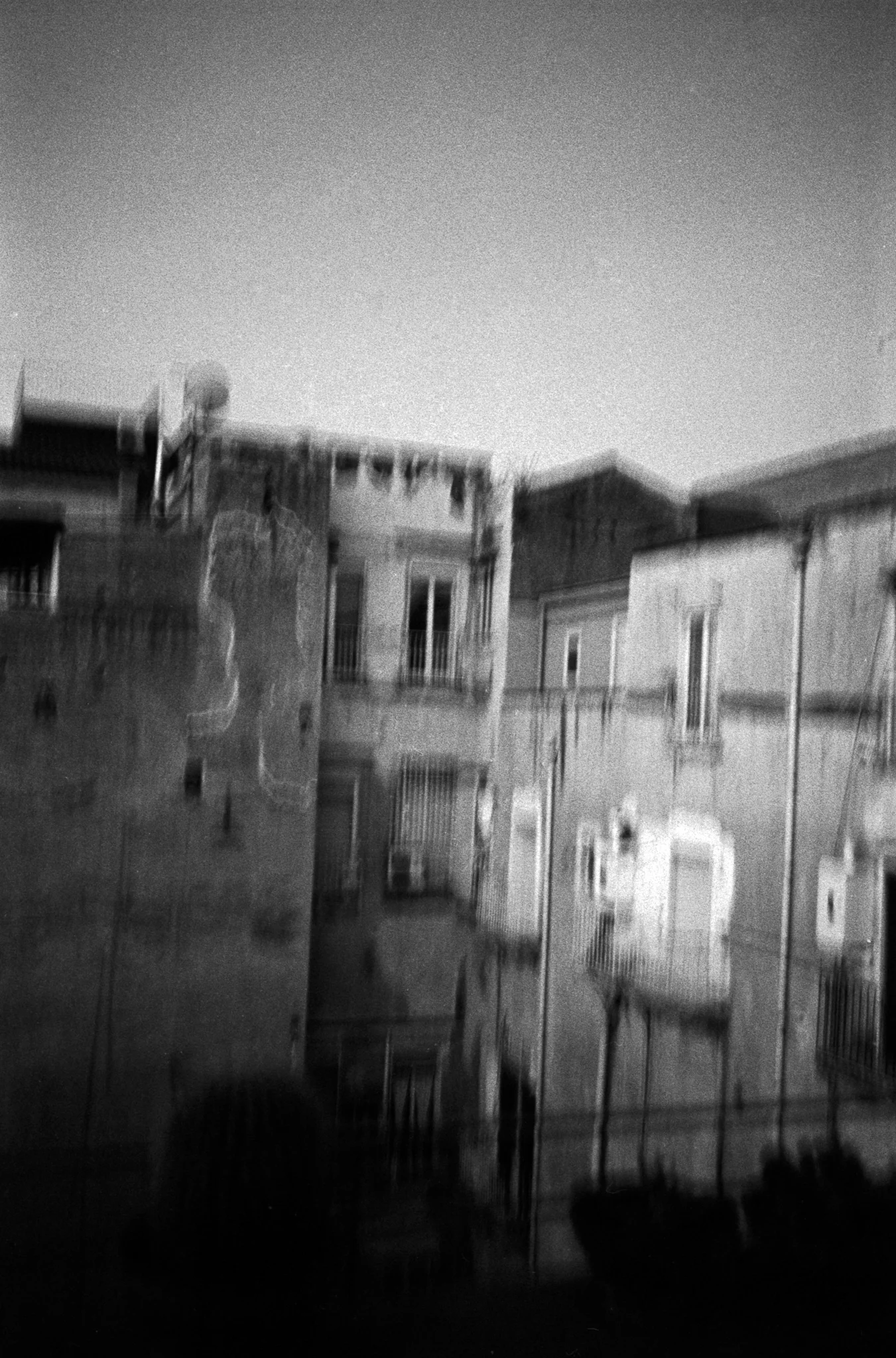 Copyright Daniel Caja Human Nature 057.jpg