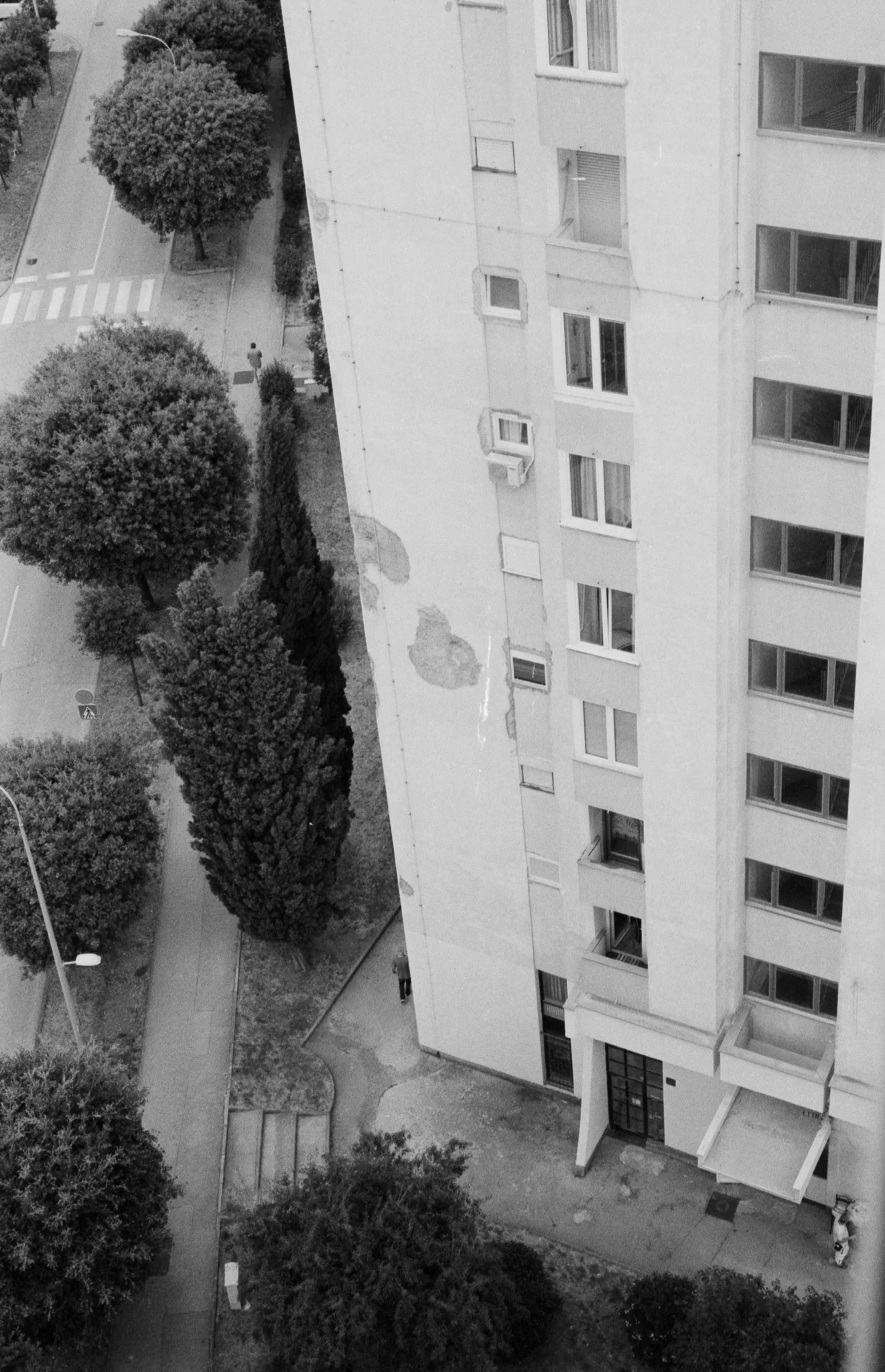 Copyright Daniel Caja Human Nature 040.jpg