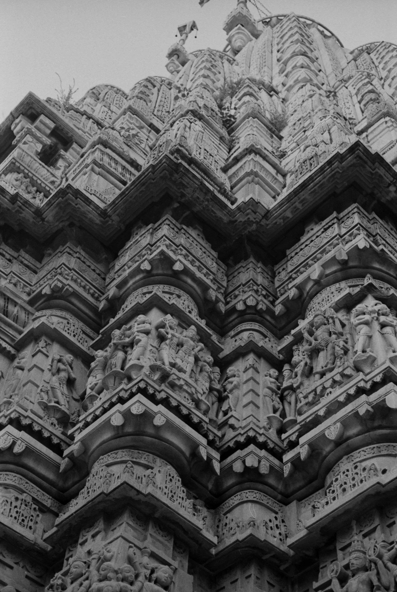 Copyright Daniel Caja Human Nature 021.jpg