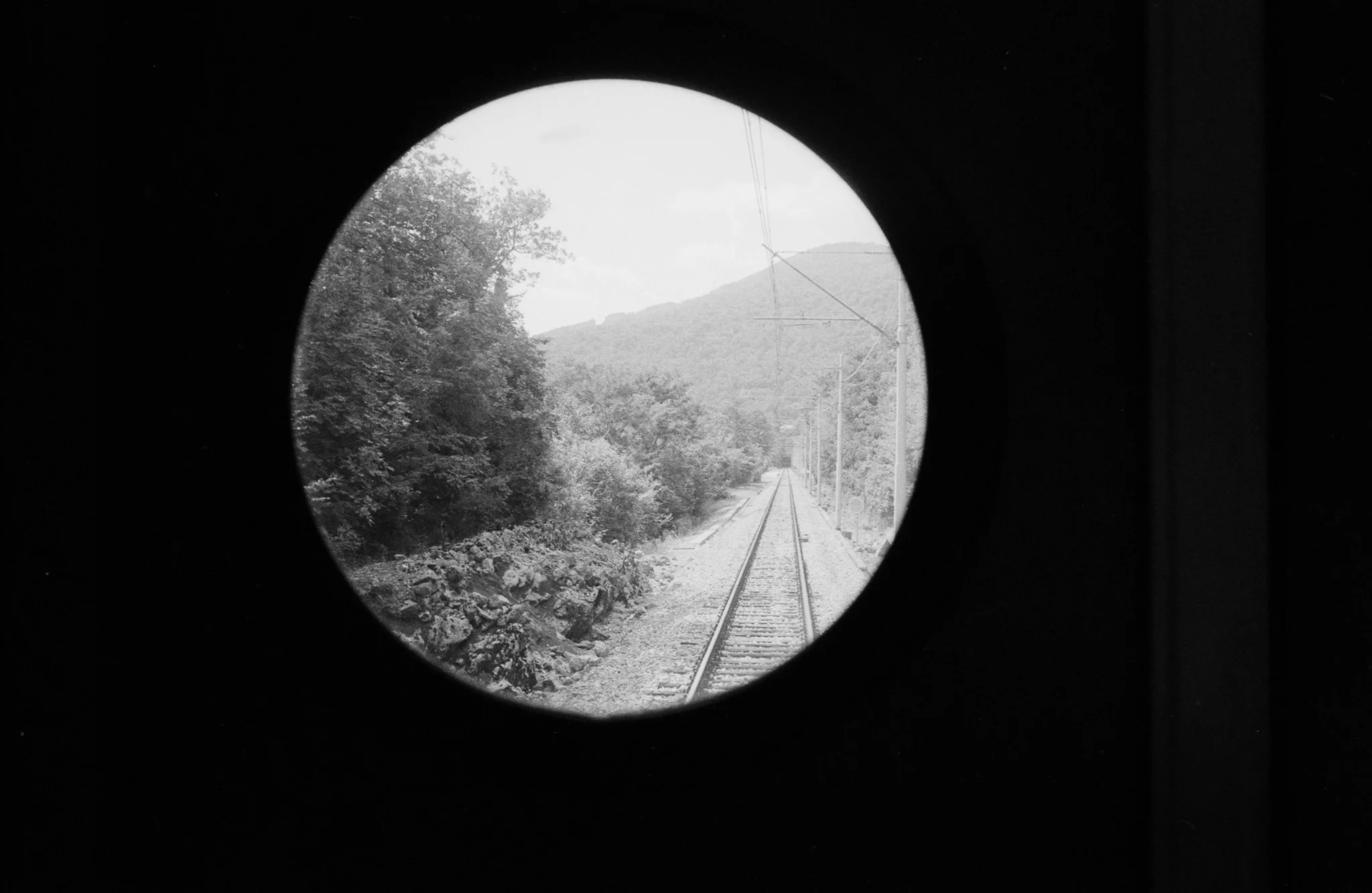 Copyright Daniel Caja Human Nature 028.jpg