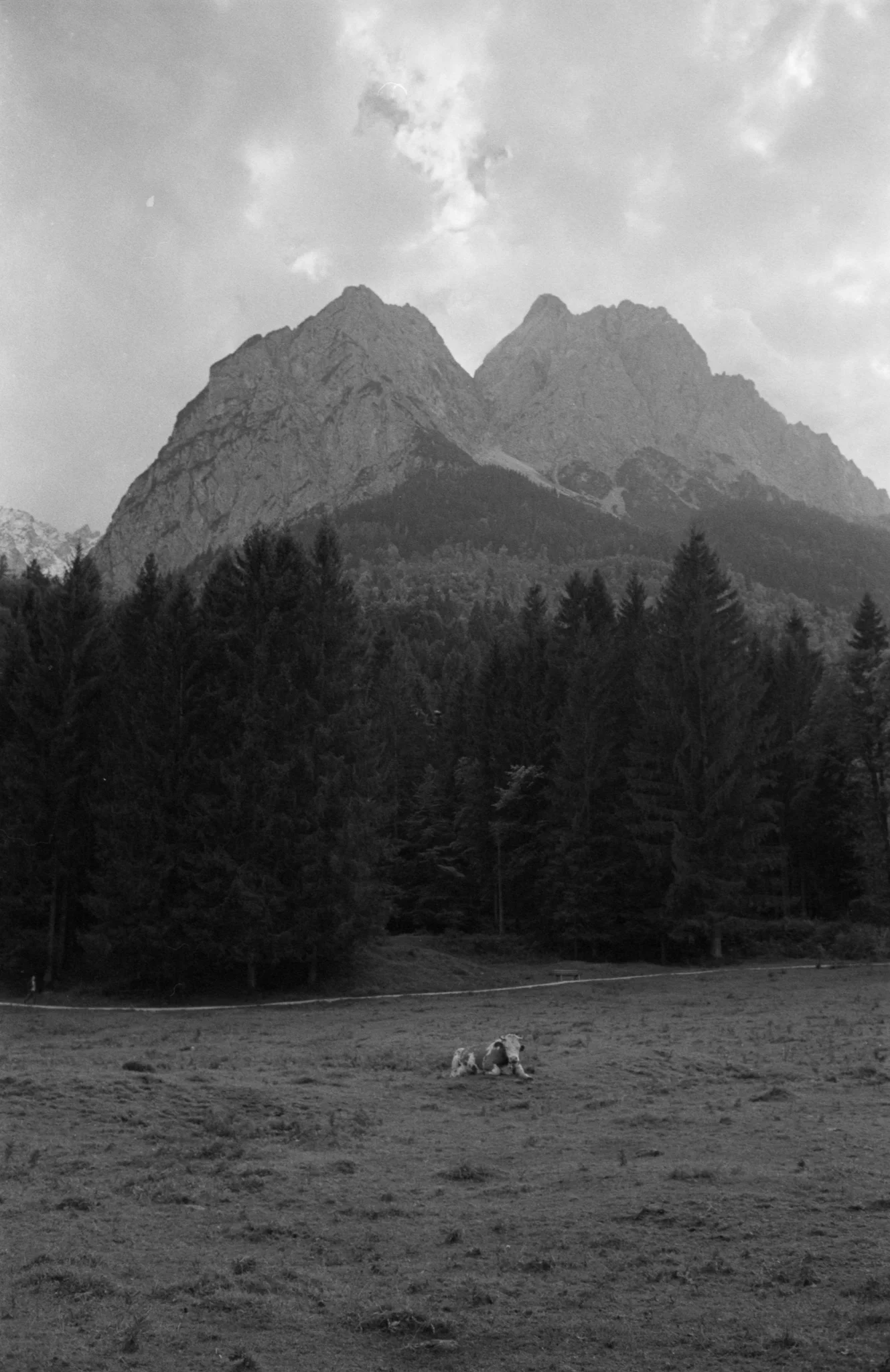 Copyright Daniel Caja Human Nature 049.jpg