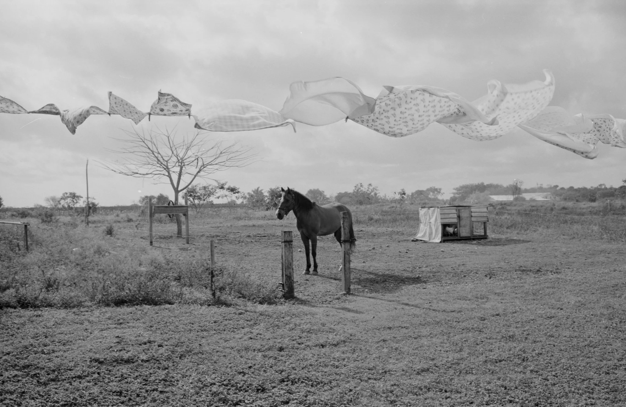 Copyright Daniel Caja Human Nature 043.jpg