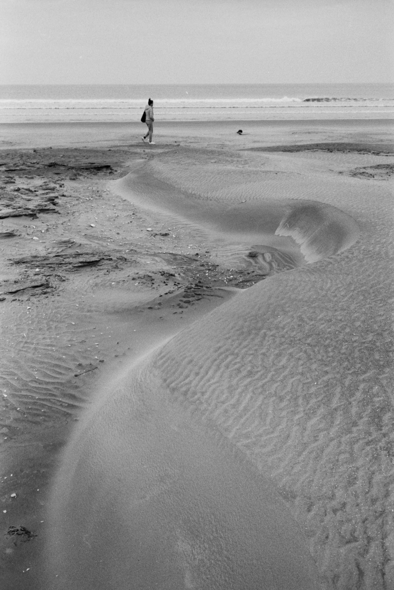 Copyright Daniel Caja Human Nature 015.jpg
