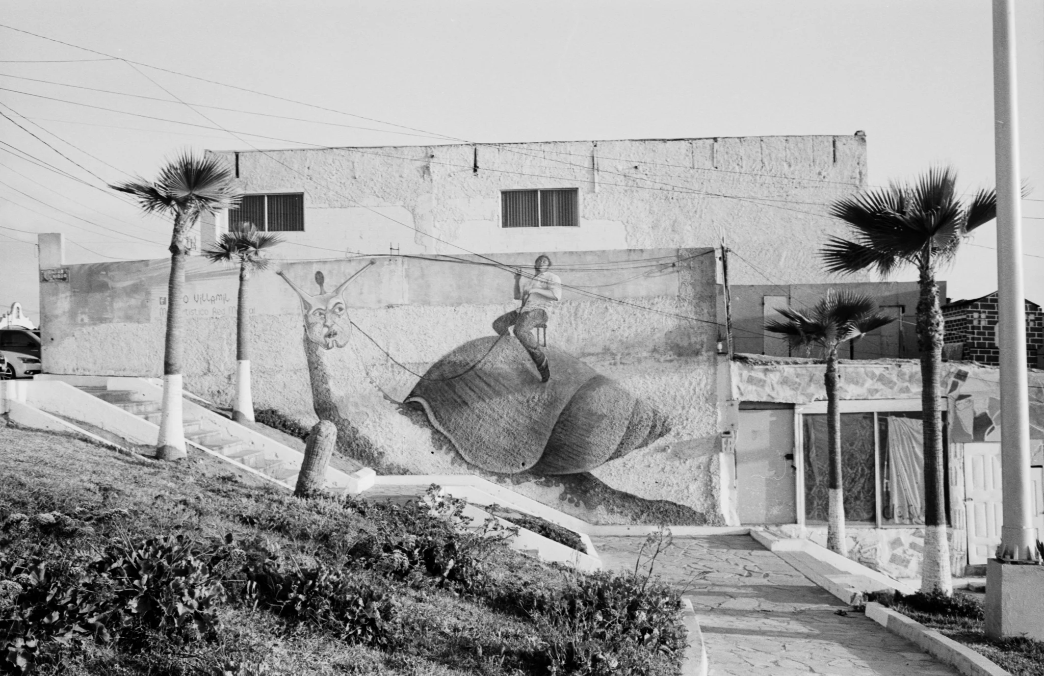 Copyright Daniel Caja Human Nature 048.jpg