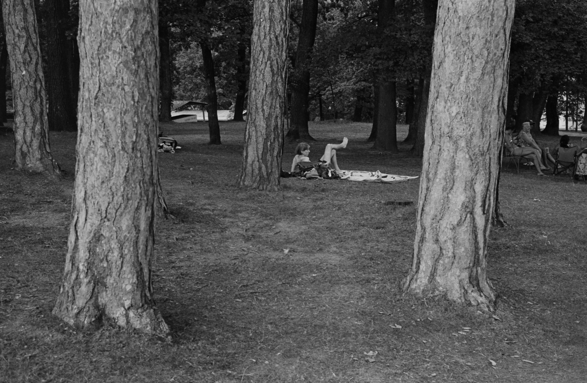 Copyright Daniel Caja Human Nature 039.jpg
