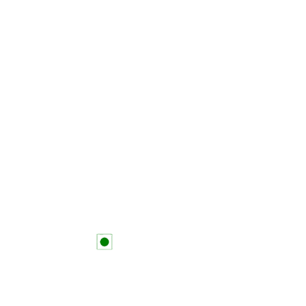 p bhagat.png