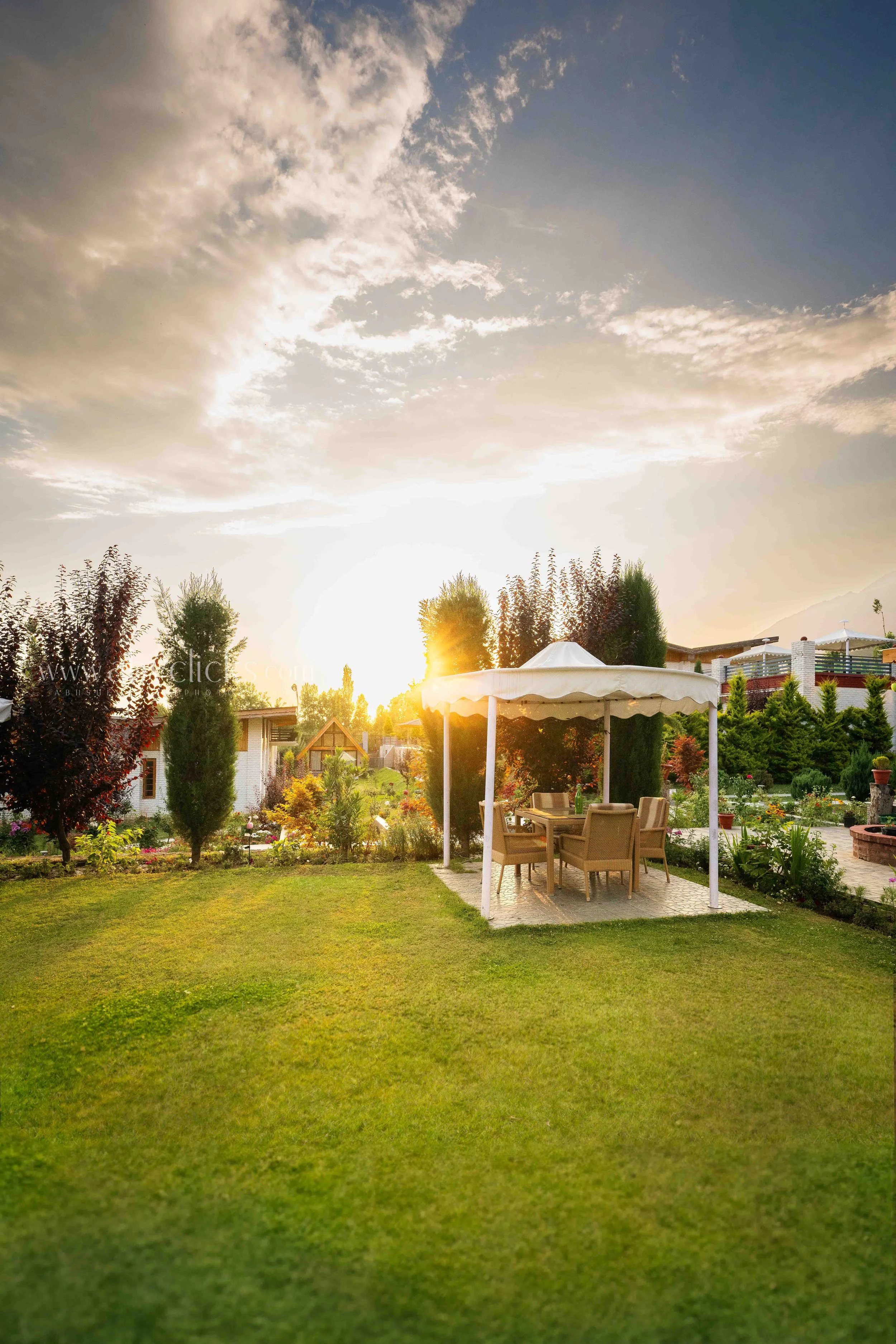 A backyard scene with a green lawn, trees, and a patio area with a white umbrella and outdoor furniture during sunset.