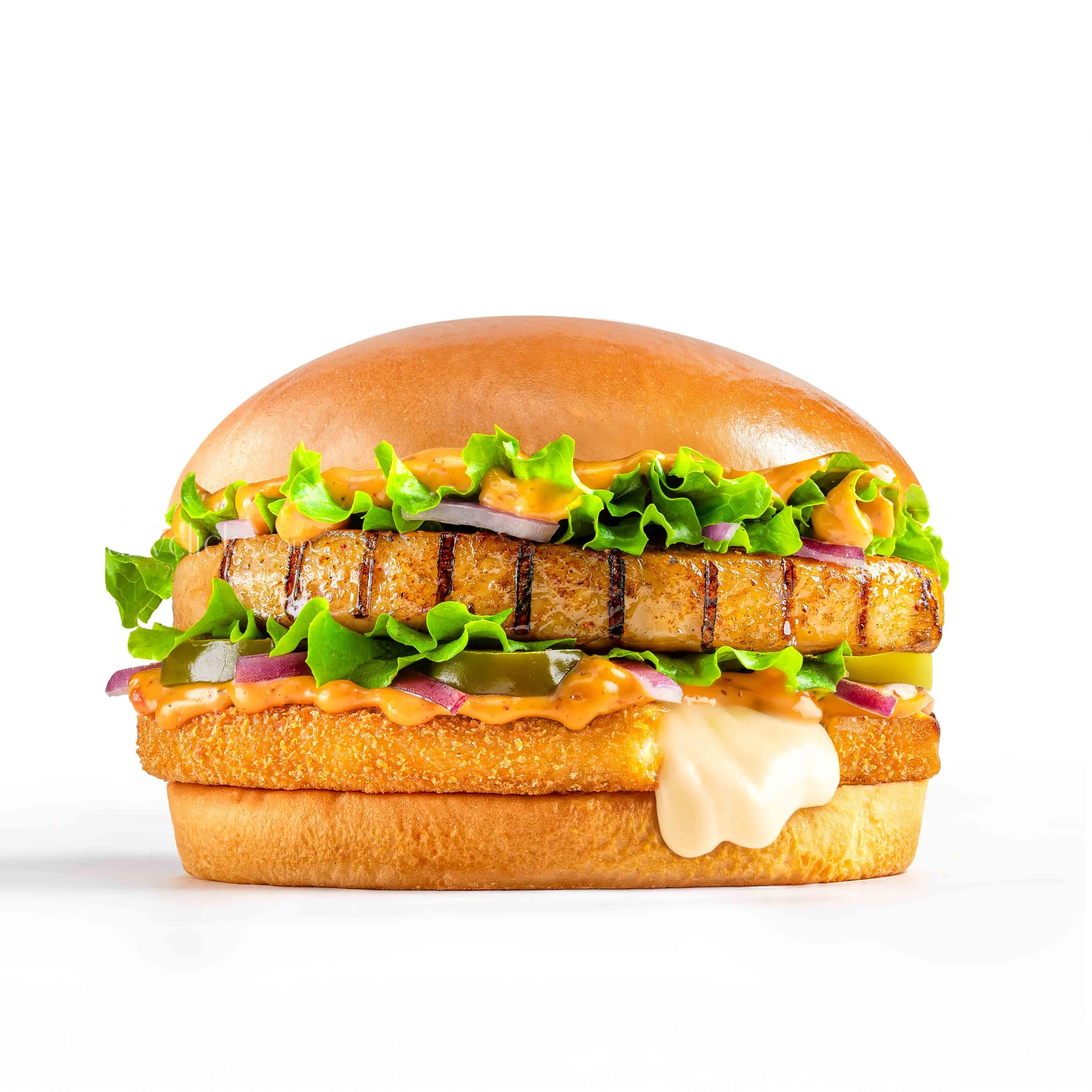 A close-up of a sandwich with grilled chicken, lettuce, tomato, onions, cheese, and a bun with grill marks against a white background.
