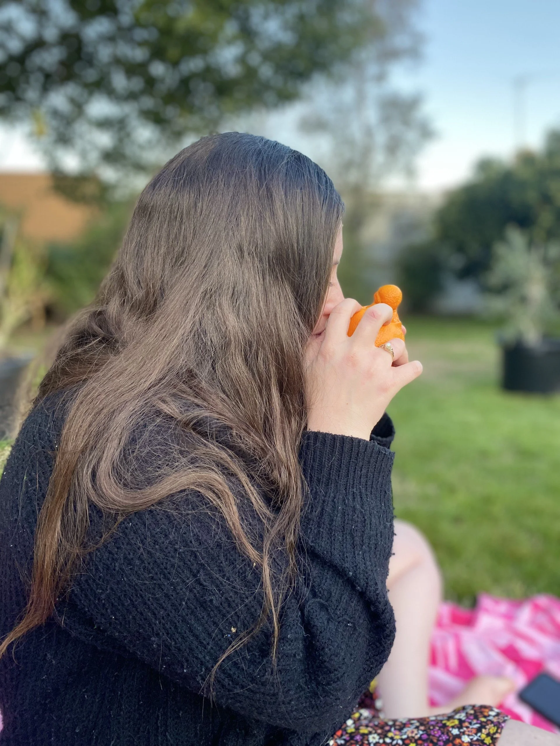 What’s That Smell? The Olfactory System Explained.