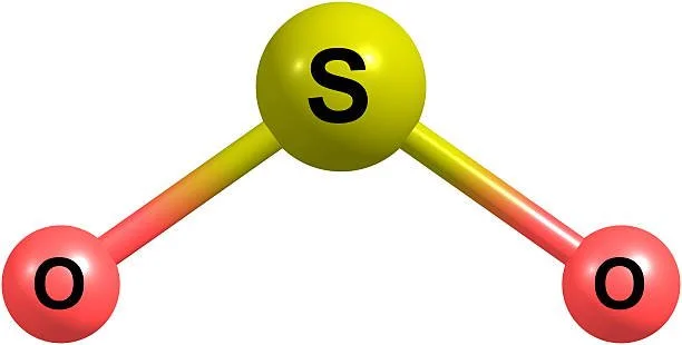 Does your wine contain sulphites?