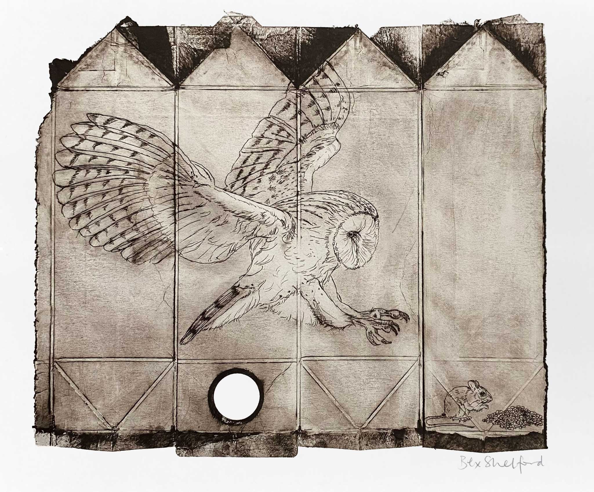 OWLWEB.jpg