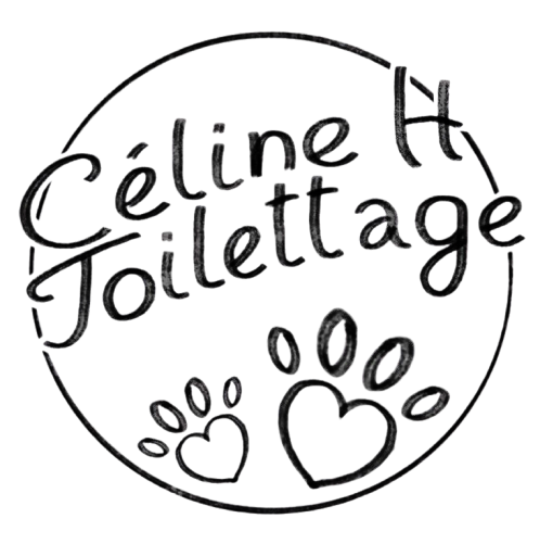 Céline H. Toilettage