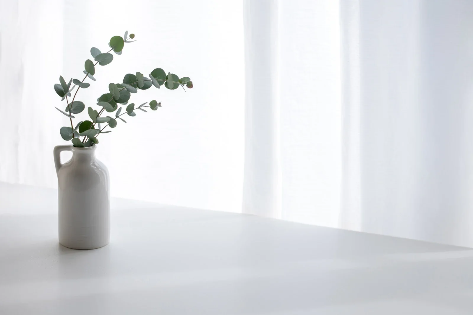 Green eucalyptus branches in a simple vase on a clear table
