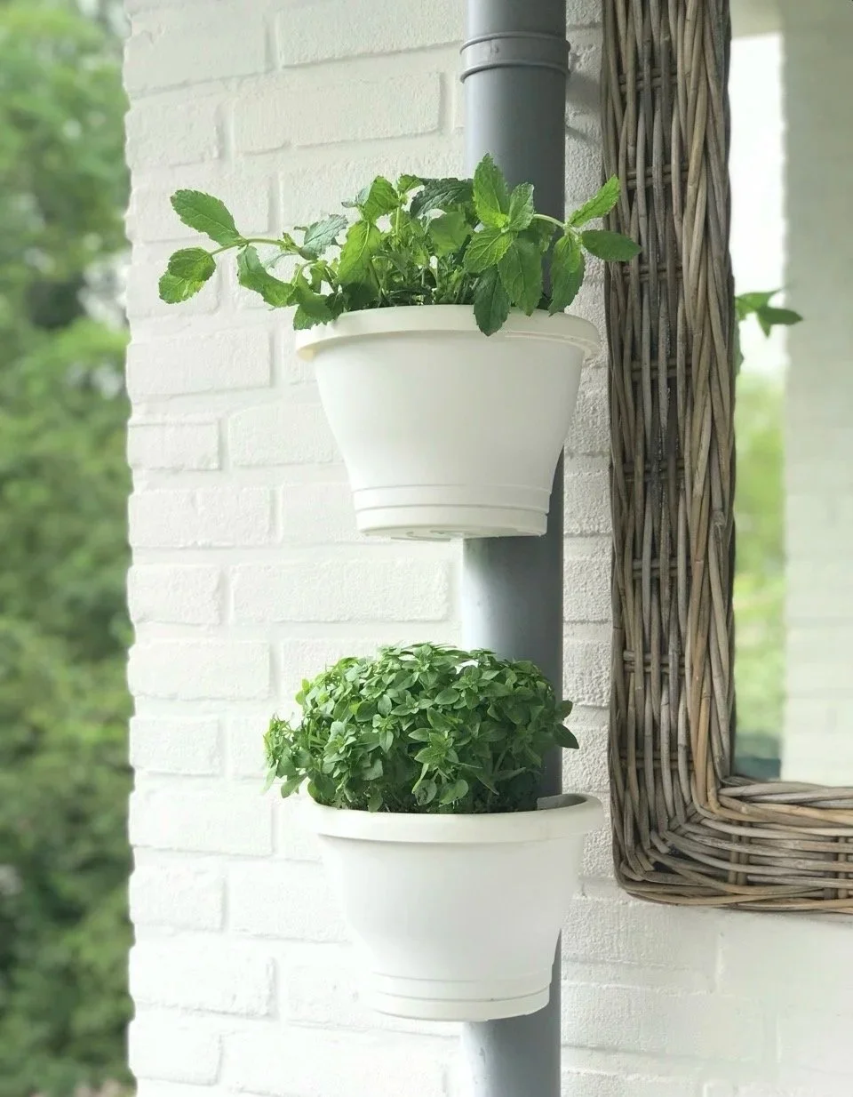 Two hanging plant pots on a balcony in Amstelveen, the Netherlands.