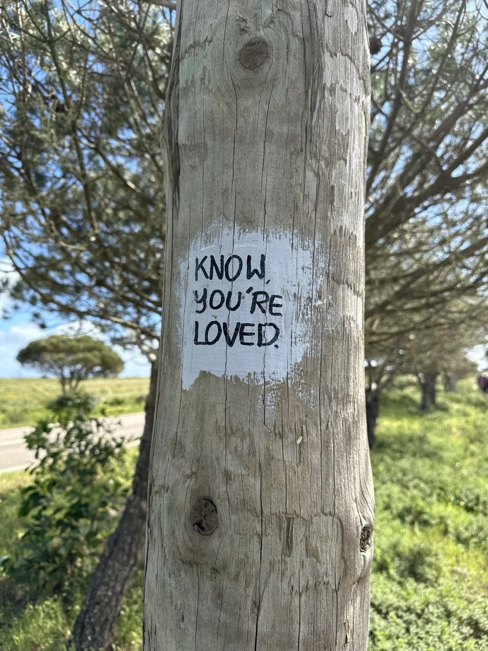 Tree with the words “Know you're loved” in Parque Natural do Sudoeste Alentejano e Costa Vicentina, Portugal