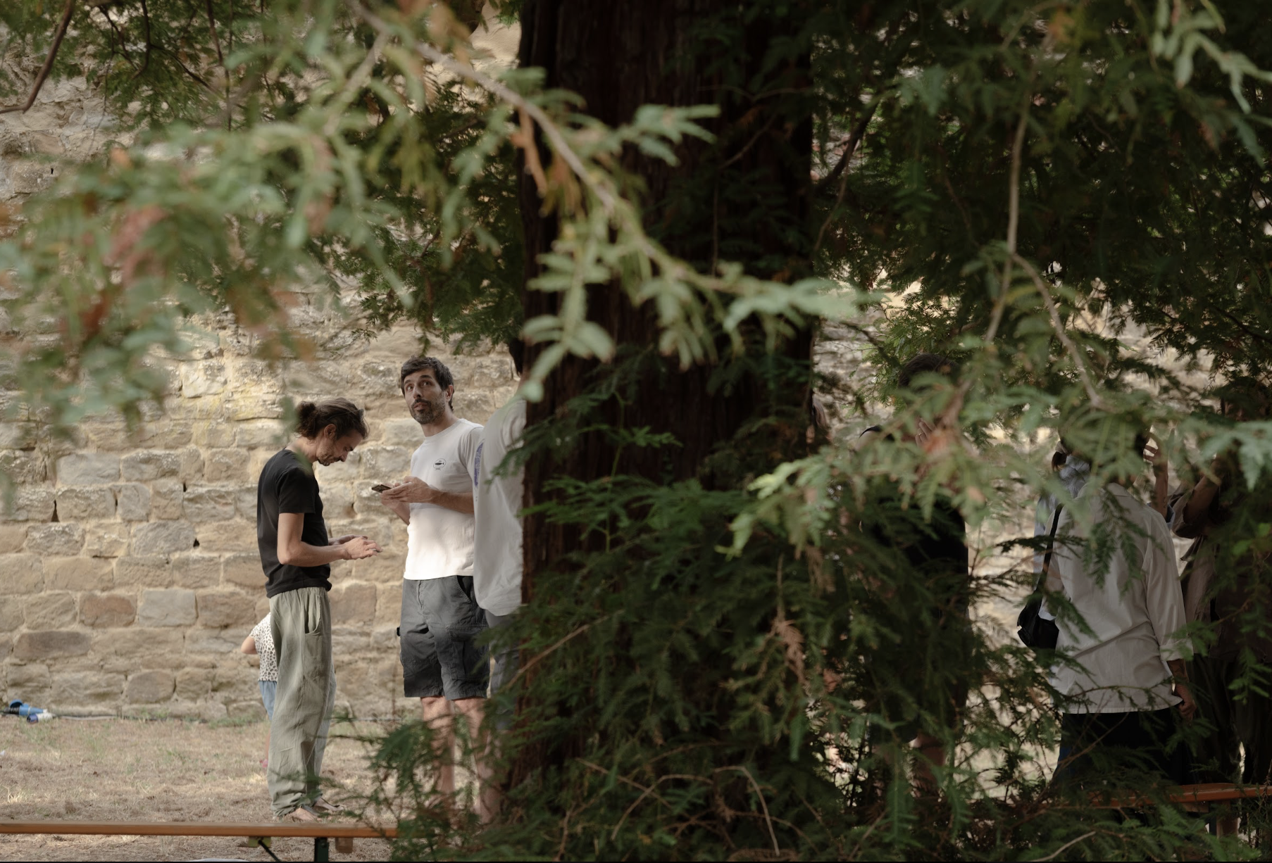 Persone che si trovano in un cortile con un muro di pietra, circondate da alberi e foliage, alcune stanno usando i telefoni, altre stanno conversando.