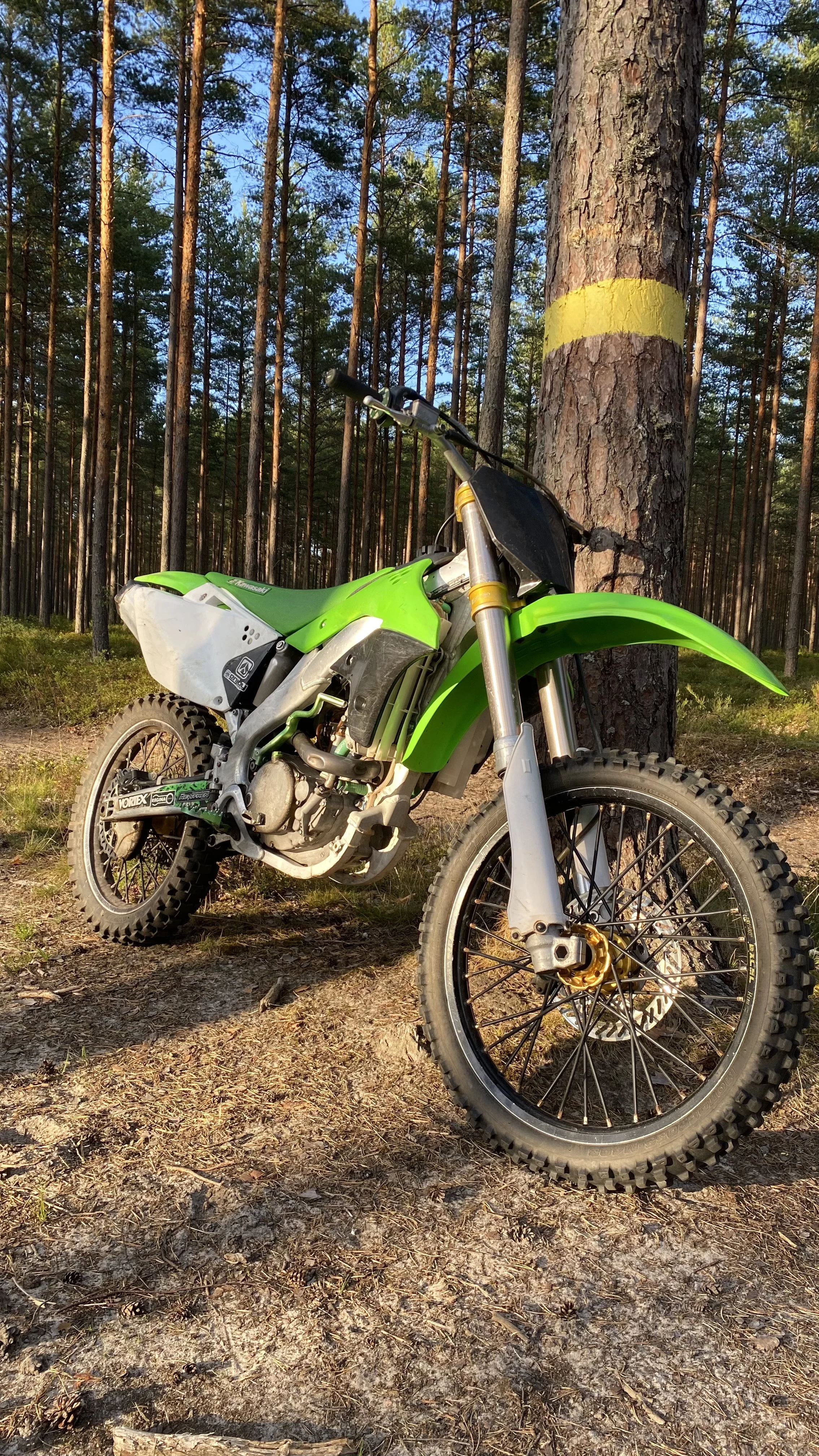 A green off-road motorcycle leaning against a pine tree with a yellow trail marker painted on it, in a forest with tall pine trees and blue sky.