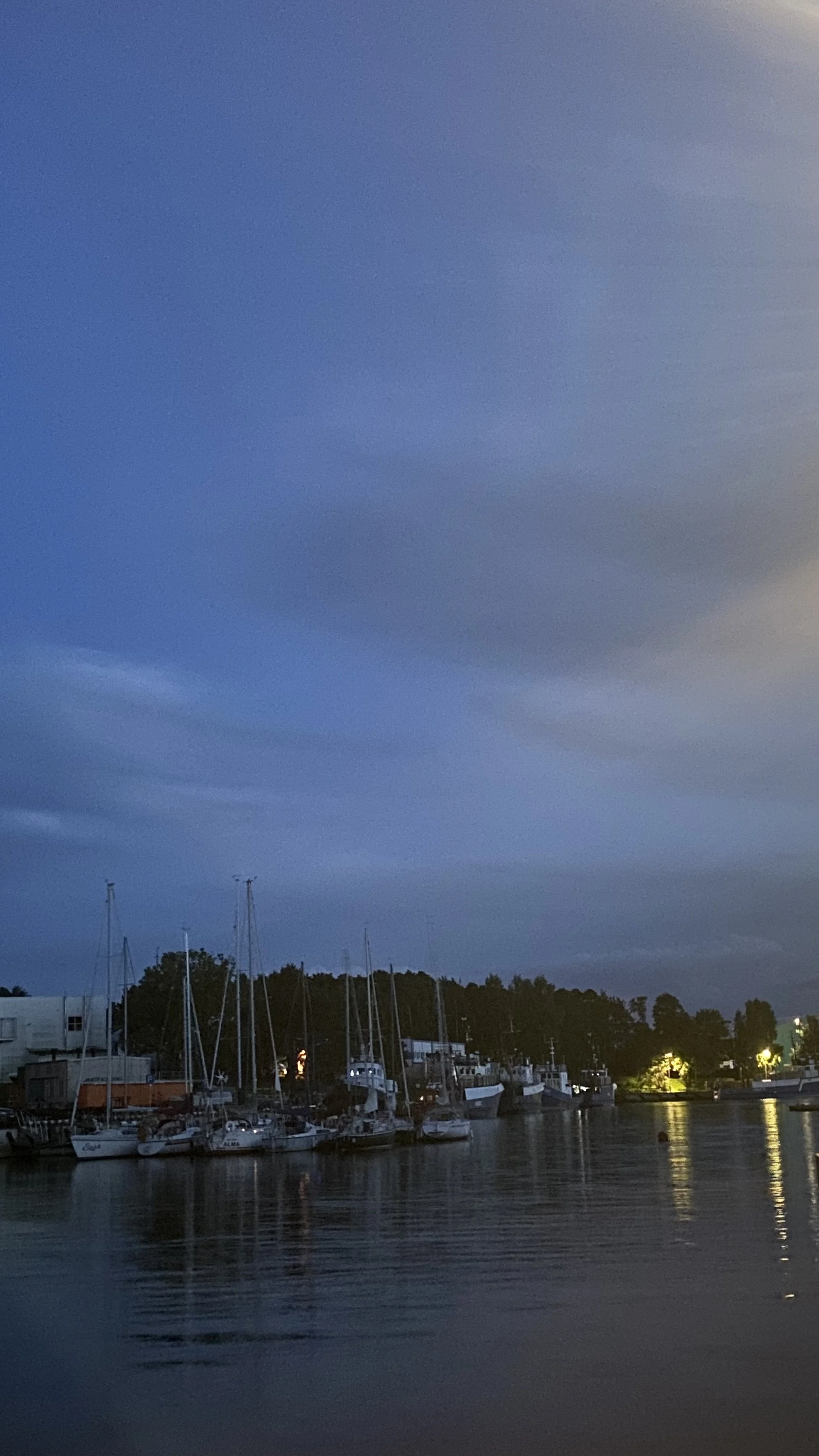 A marina at dusk with sailboats docked in the water, dark cloudy sky above, and trees and buildings in the background.
