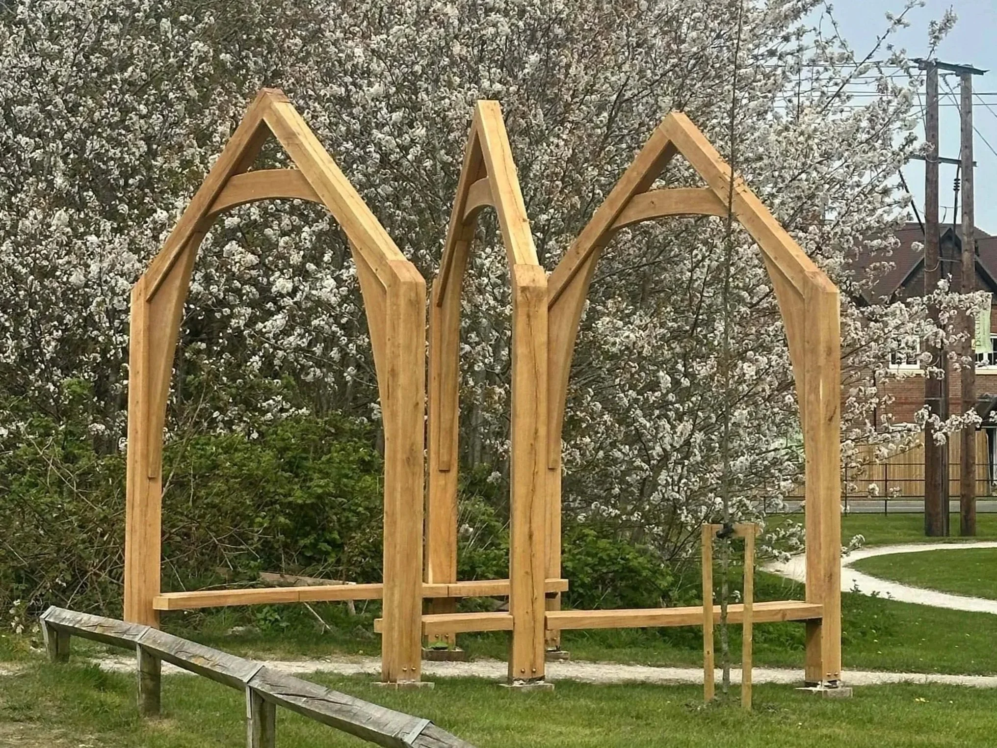 A wooden structure framework under construction in front of a flowering tree with white blossoms. In the background, there are buildings and power lines.