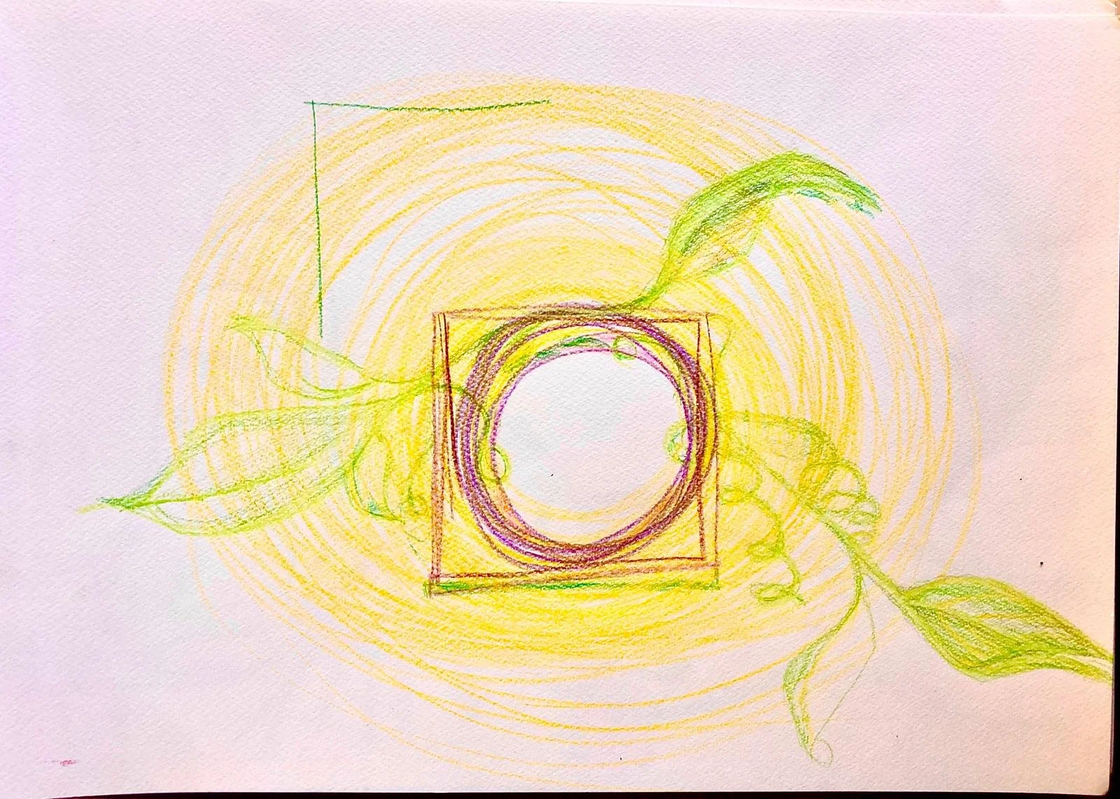A colorful drawing featuring a camera in the center, surrounded by green leaves and yellow circular lines radiating outward.