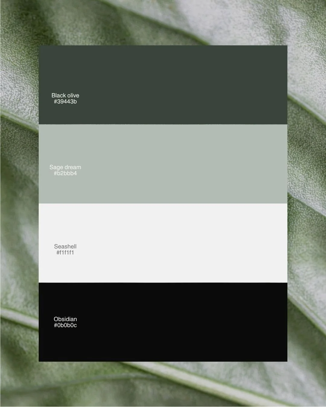 Dousa Color Palette.jpg