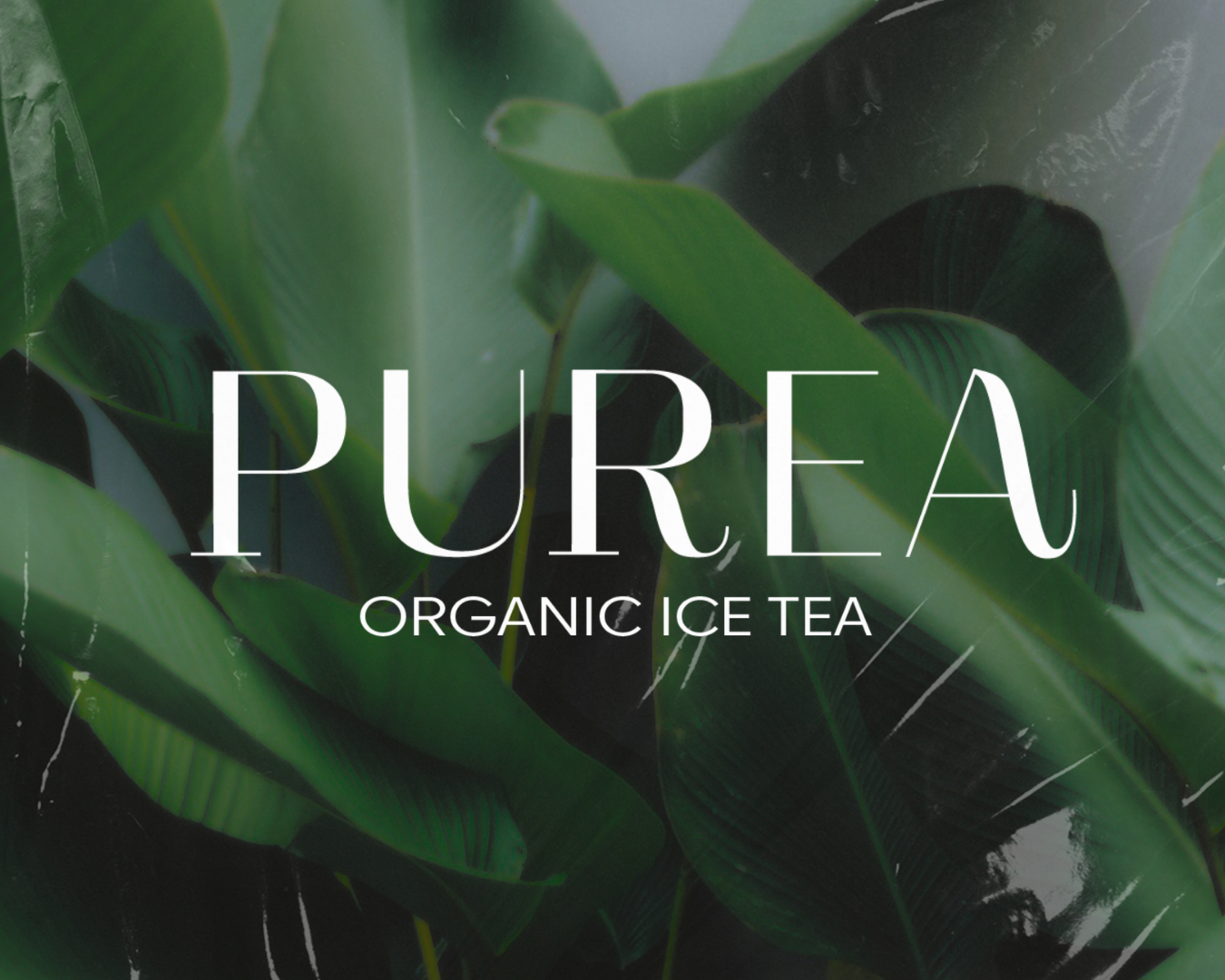 purea logo.png