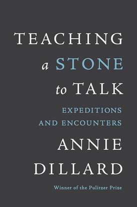 Teaching a Stone to Talk by Annie Dillard