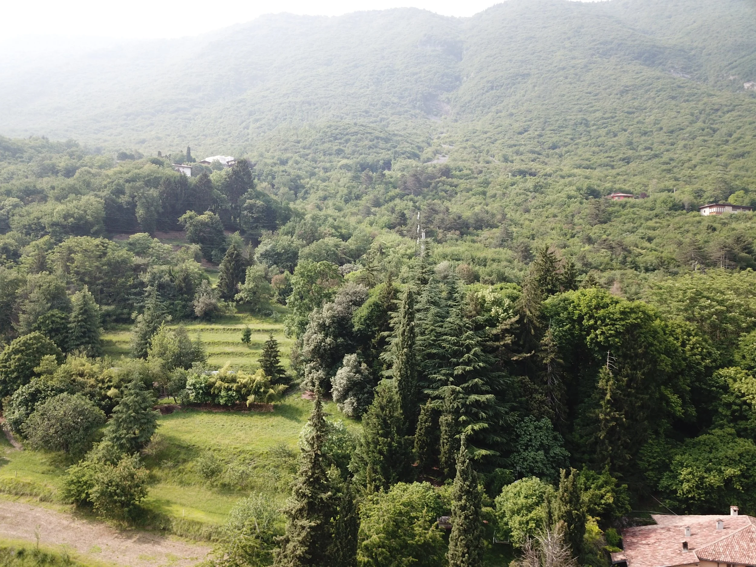 DJI_0114.JPG