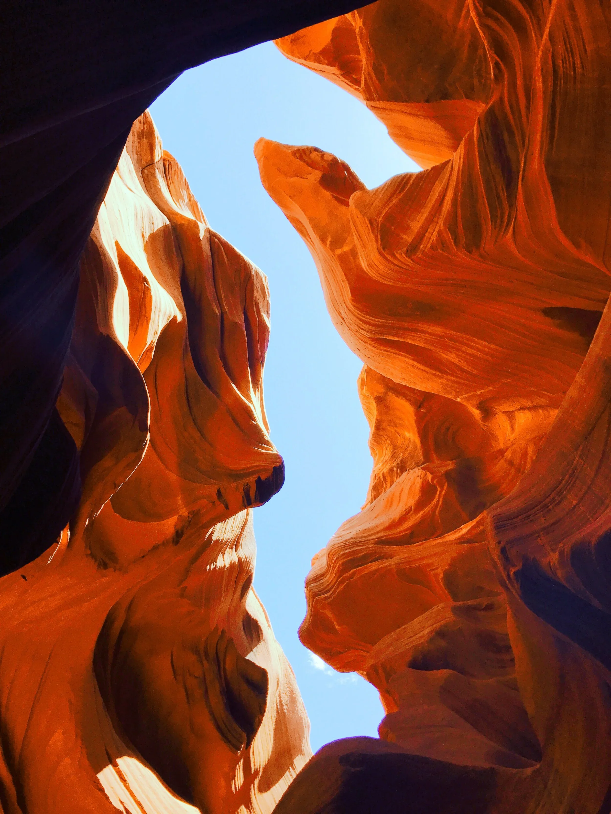 Finding the Fertile Void