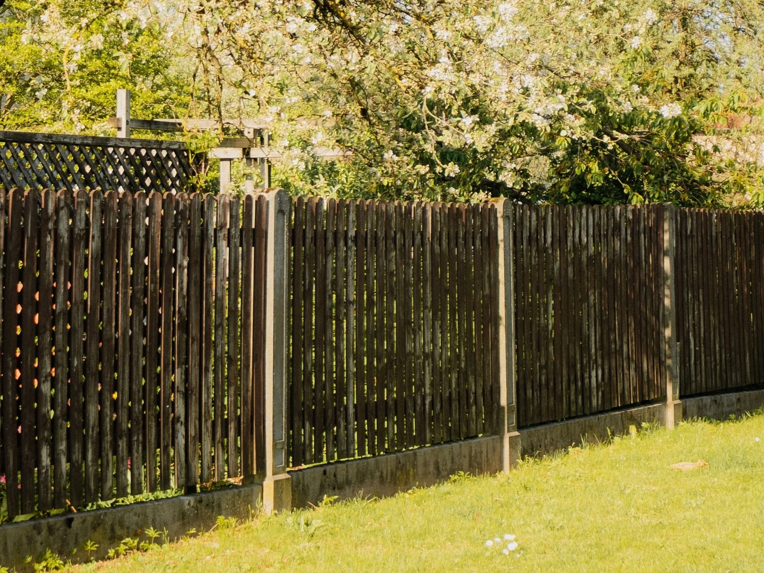 Wooden fence with trees and greenery in the background, sunlight filtering through the leaves.