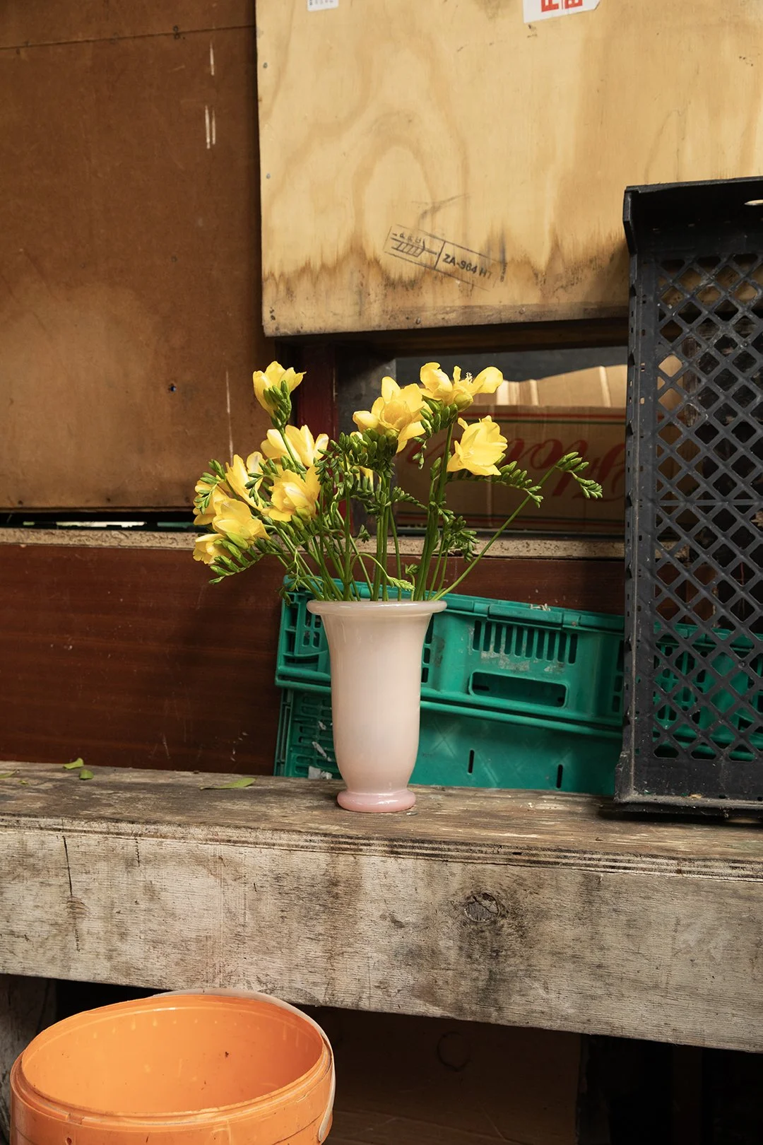 9A7A7463 copy 2.jpg